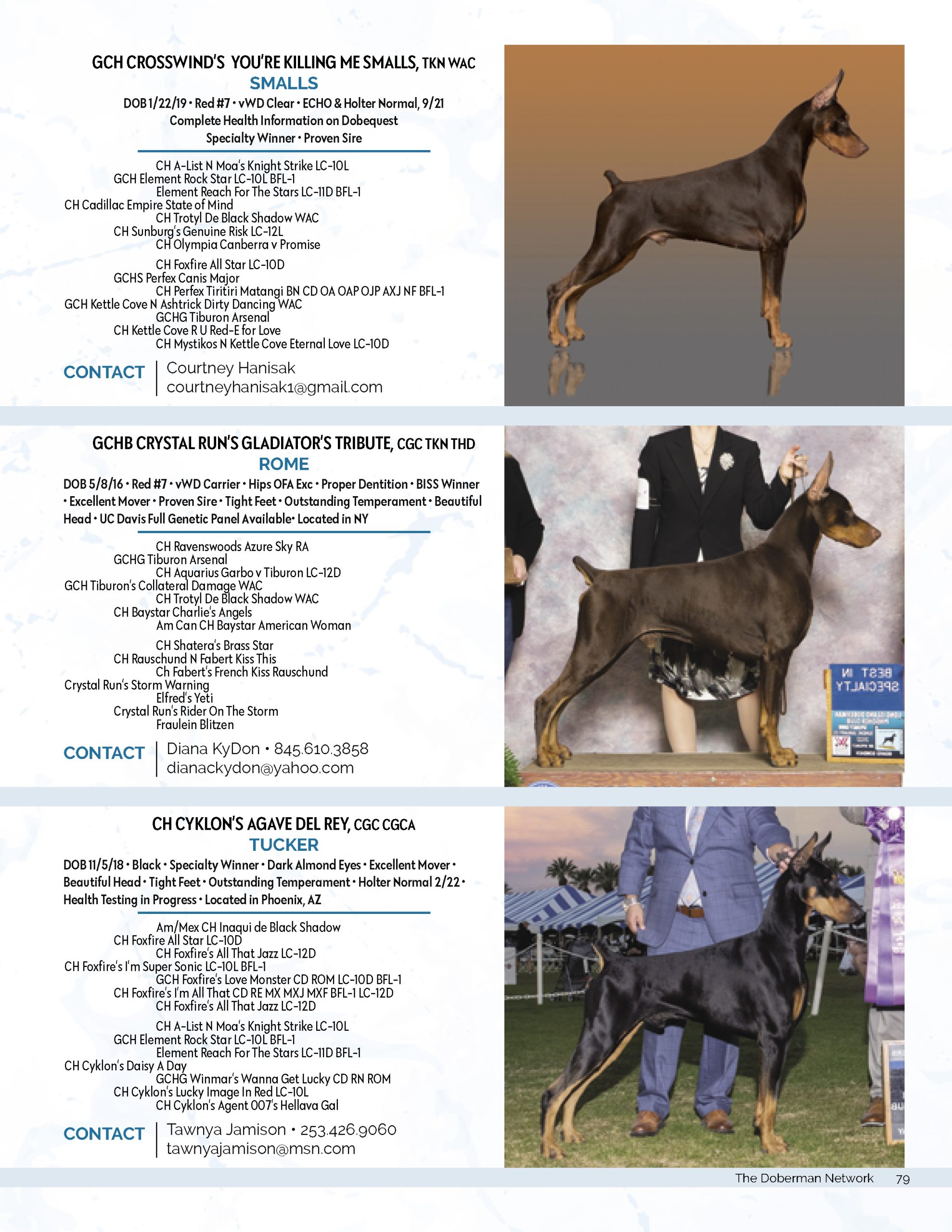 Kettle best sale cove dobermans